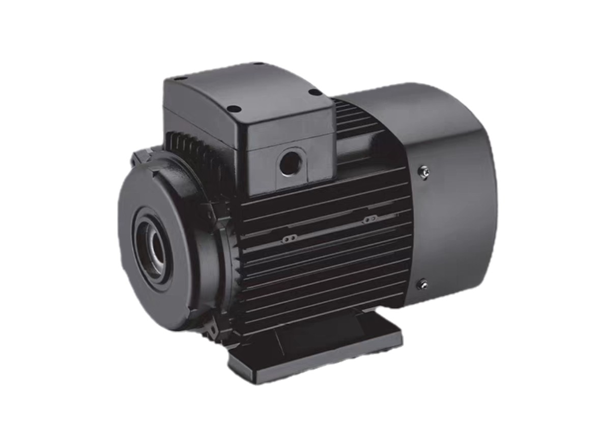 <strong> YS系列三相鋁殼電動機</strong>